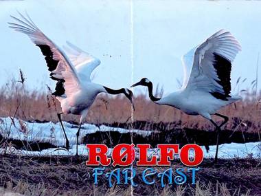 Маслич Владимир Николаевич, R0LFO, HR RI0L #13 Маслич Владимир Николаевич, R0LFO, HR RI0L #13